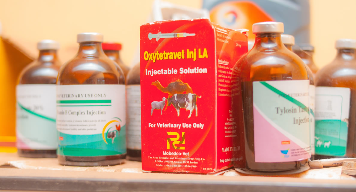Veterinary Drugs